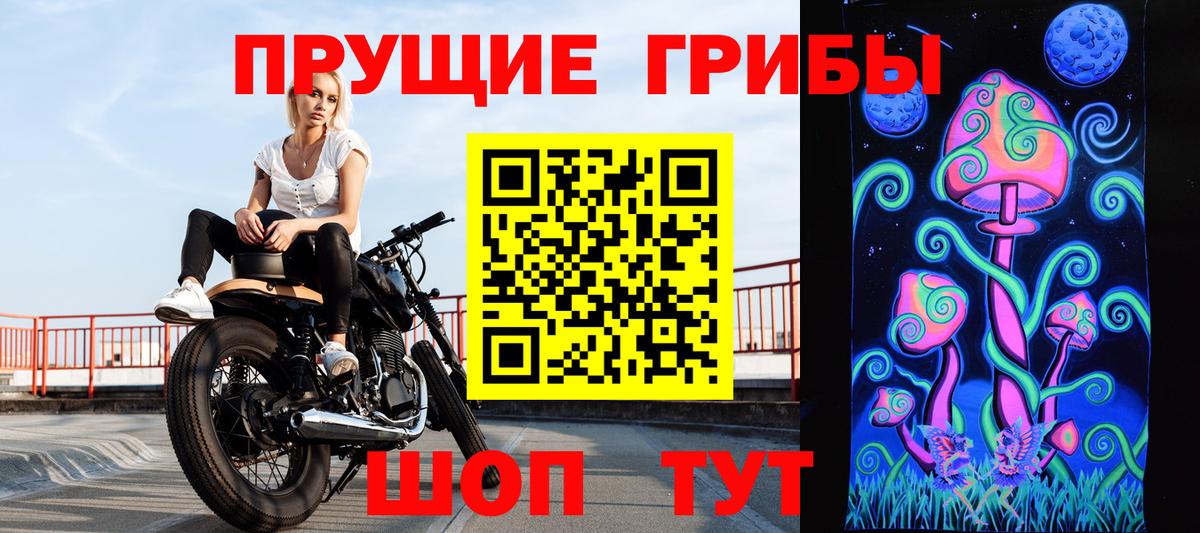 Новодвинск  Псилоцибиновые грибы Magic Shrooms  Псилоцибиновые грибы Cubensis  Вход с VPN 